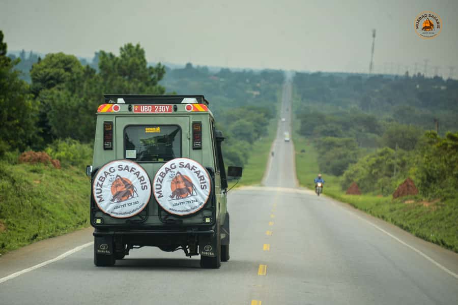 The Big5 3 Days Wildlife Adventure Experience in Uganda. - Booking terms and the questions I would ask