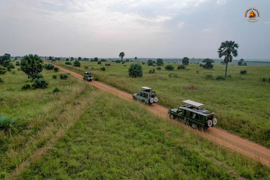 The Big5 3 Days Wildlife Adventure Experience in Uganda. - Morning and evening game drives in the park