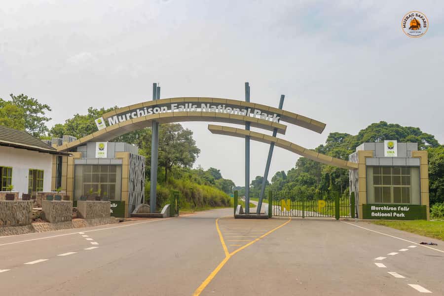 The Big5 3 Days Wildlife Adventure Experience in Uganda. - The Nile boat cruise to the base of the falls