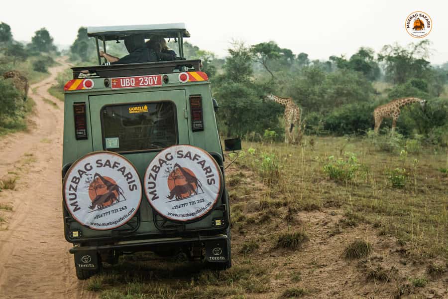 The Big5 3 Days Wildlife Adventure Experience in Uganda. - The 45-minute walk to the top of Murchison Falls