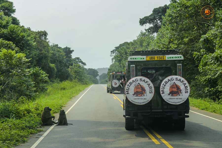 The Big5 3 Days Wildlife Adventure Experience in Uganda. - Practical packing for three demanding days