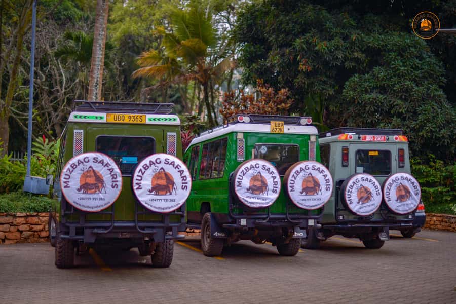 The Big5 3 Days Wildlife Adventure Experience in Uganda. - Ziwa Rhino Sanctuary and Uganda’s white rhinos