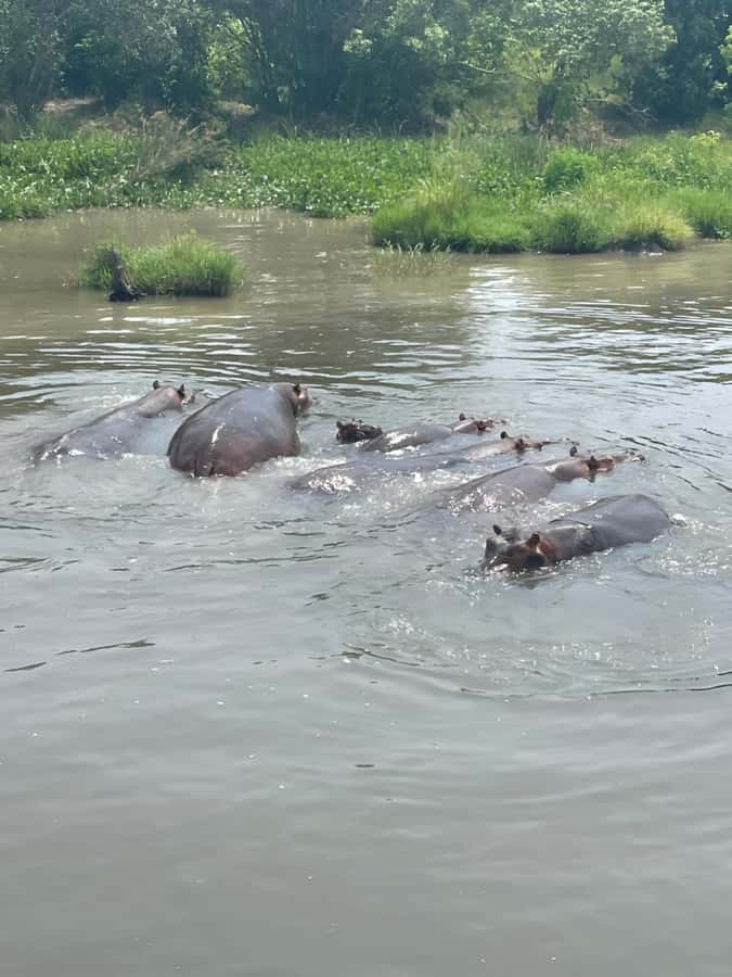 Uganda: 1-Day Murchison Falls Park Safari with Boat cruise - The early morning road from Kampala or Entebbe