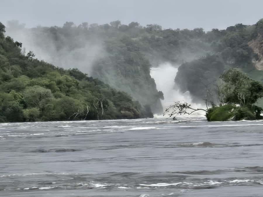Uganda: 2-Day Murchison Falls Park Safari with Boat cruise - Small details that improve the experience