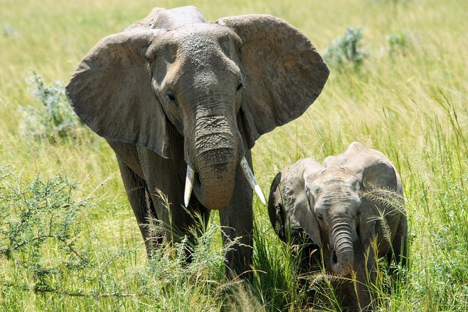 Uganda Wildlife Holiday - 8 Days - Why this Uganda route works so well