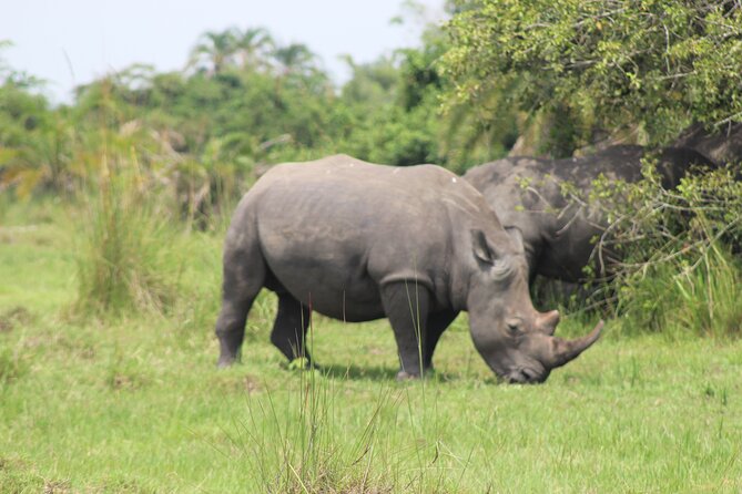 Unforgettable 3 days Murchison falls. - Meals, lodging, and what the $970 covers