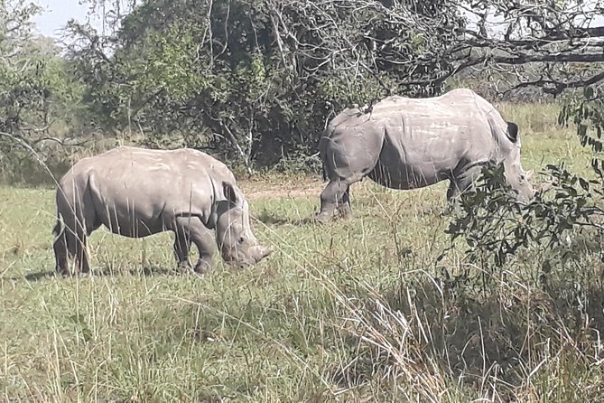 Zziwa Rhino Sanctuary Walking Safari - Who will enjoy this day most